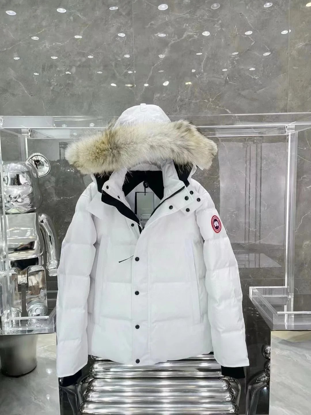 Moncler Down Jackets
