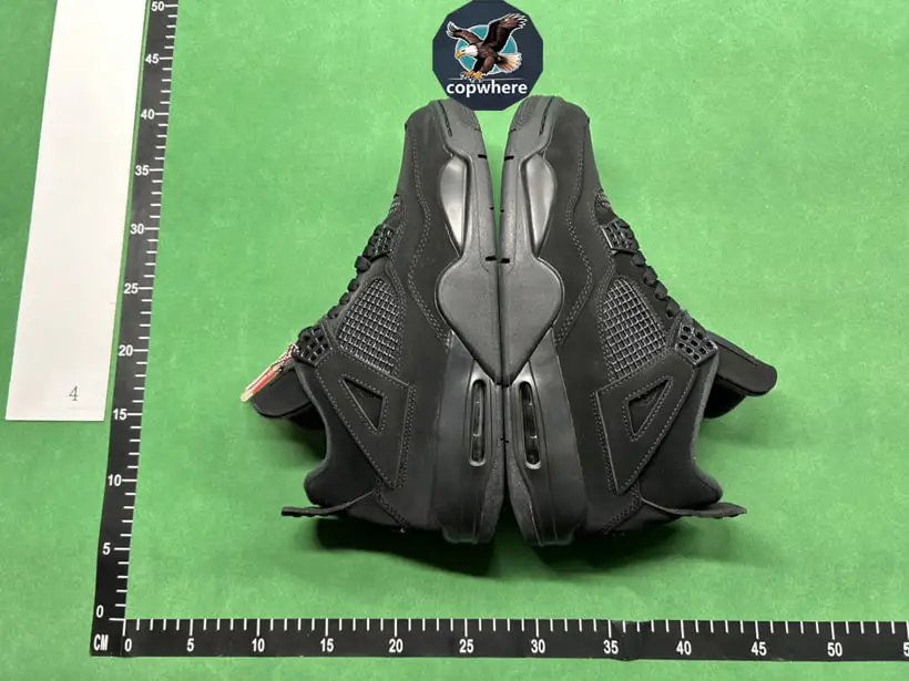 Air Jordan 4 LJR