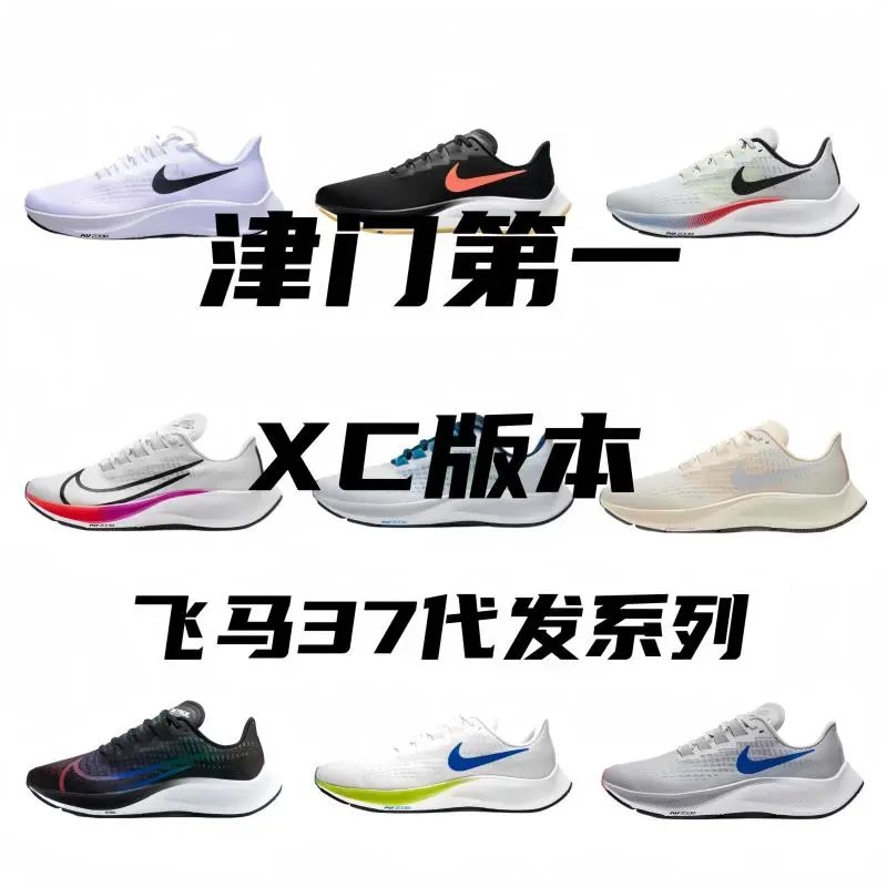 Nike Pegasus