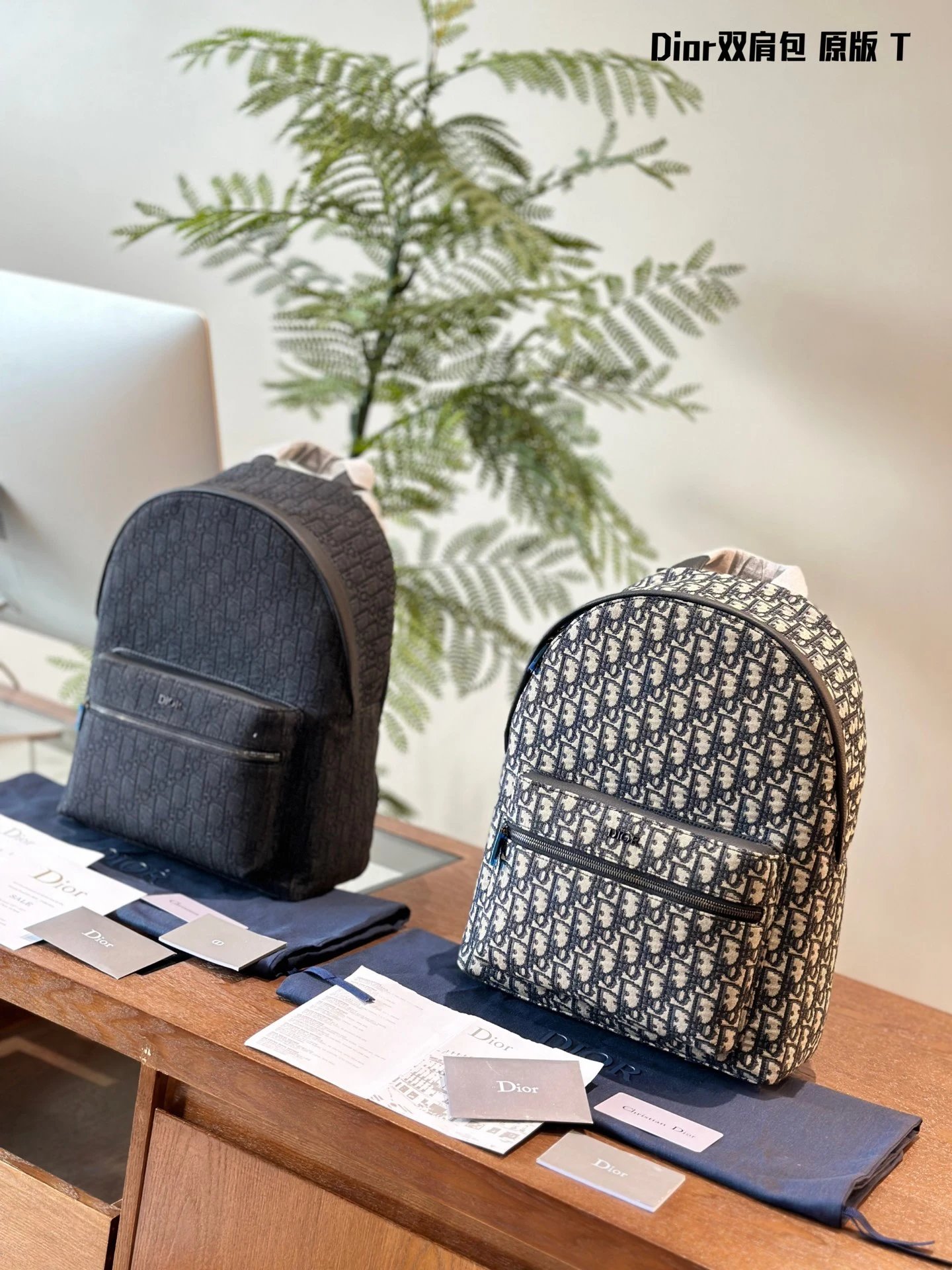 Dior Backpack