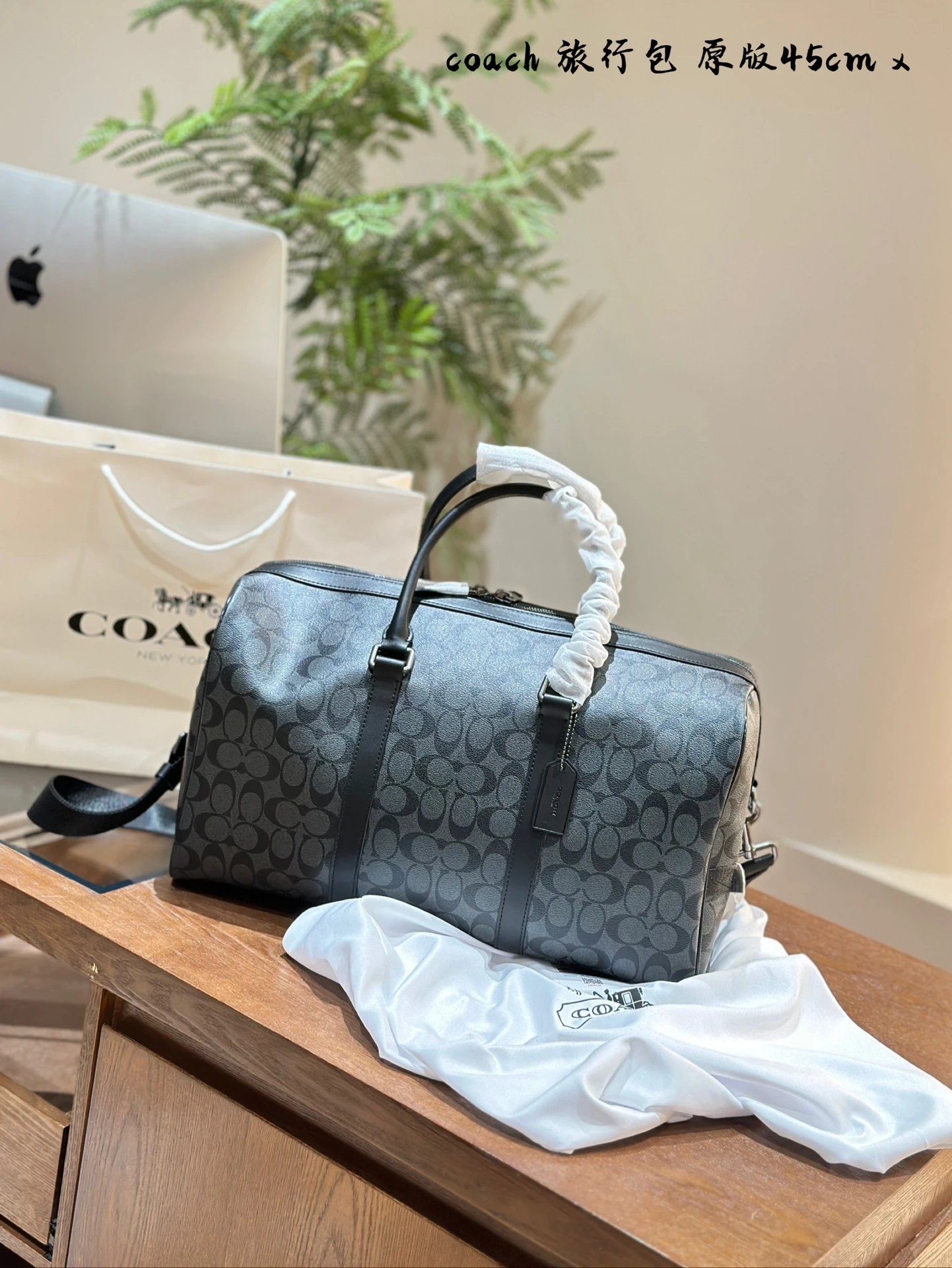 Coach Handbags