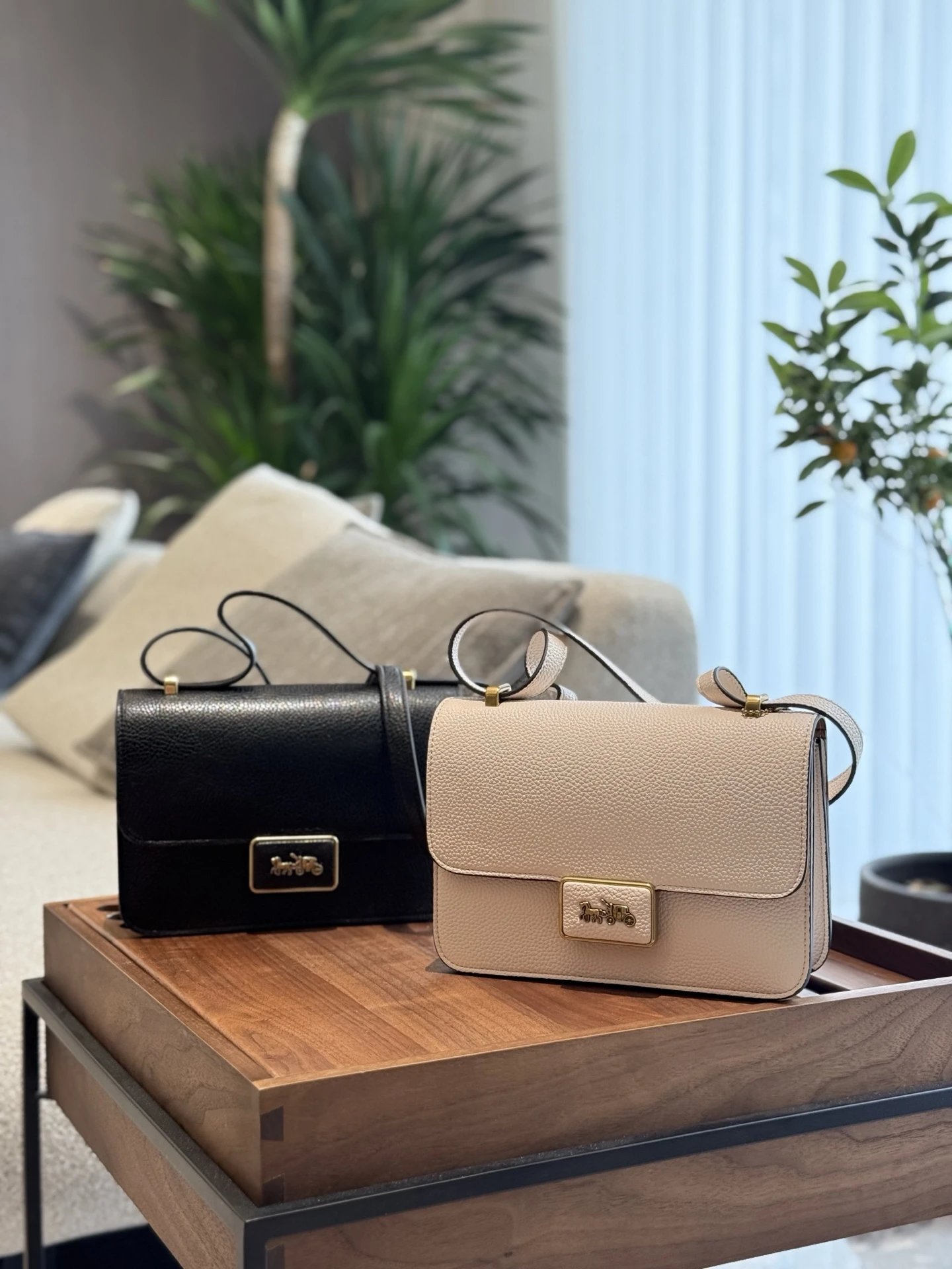 Coach Handbags 23cm