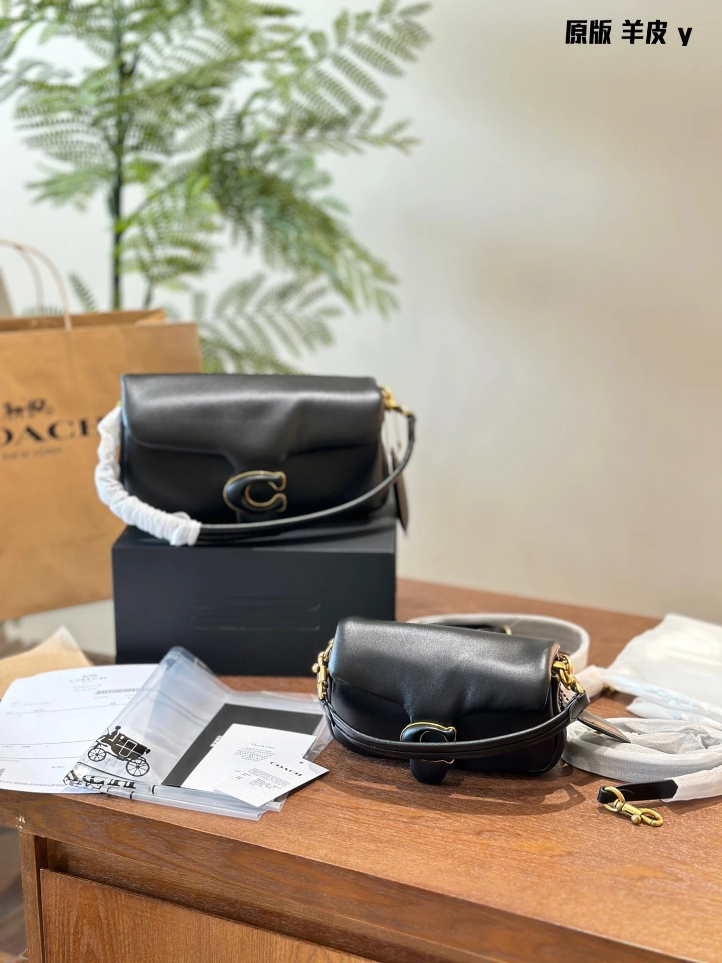 Coach Handbags