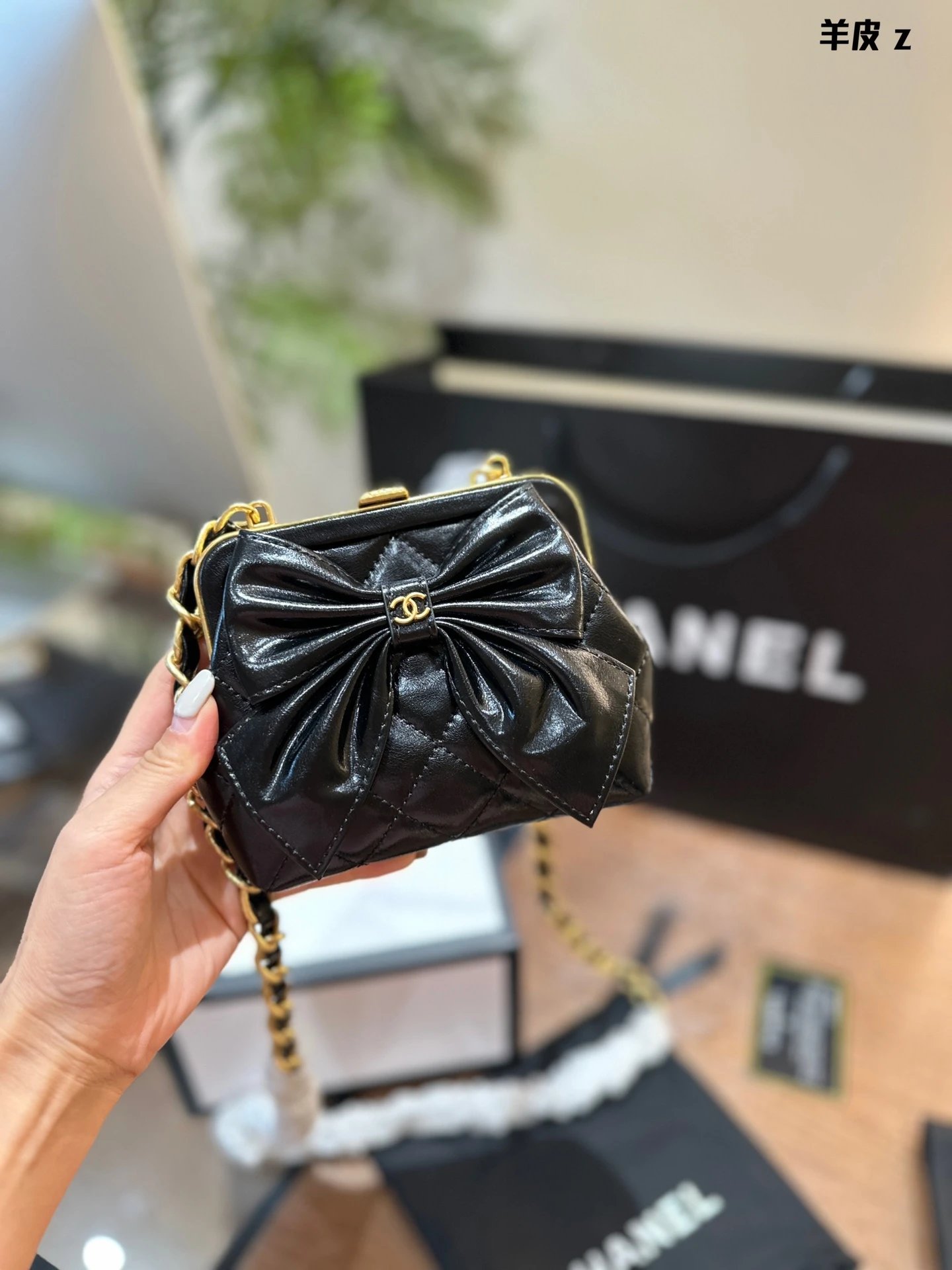 Chanel Handbags