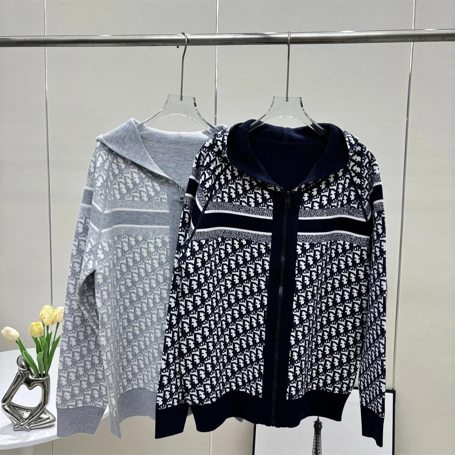 Dior Hoodie Jacket